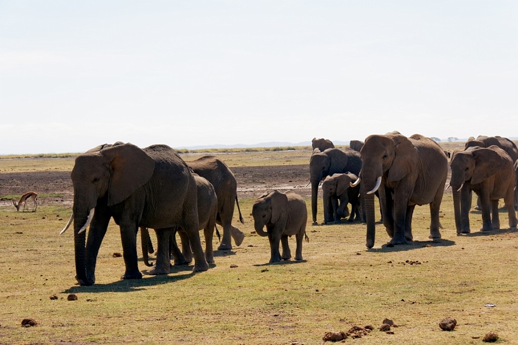 Kenia (140).jpg